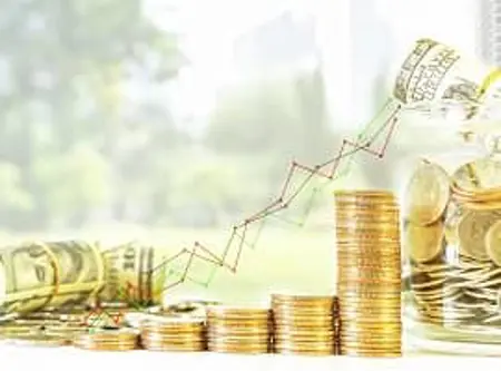 Capital Optimization