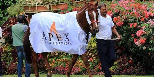 Apex Celebrates 10 Years in Mauritius