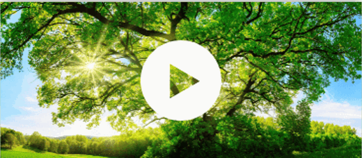 Envision your ESG future