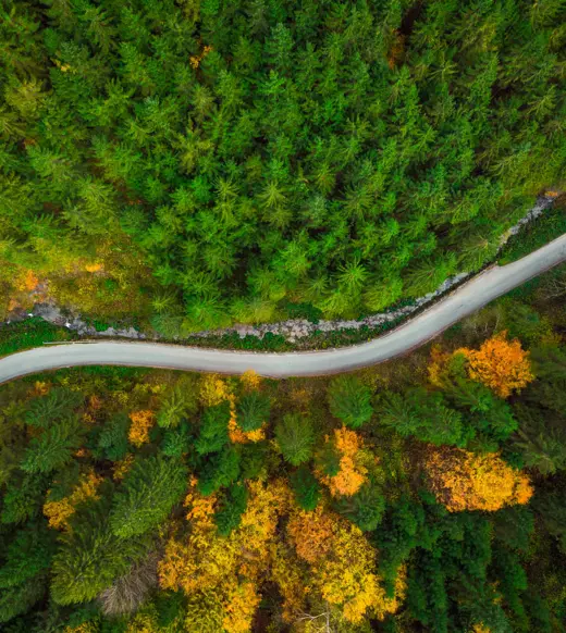 Executing a lift-out: what every fund manager should know