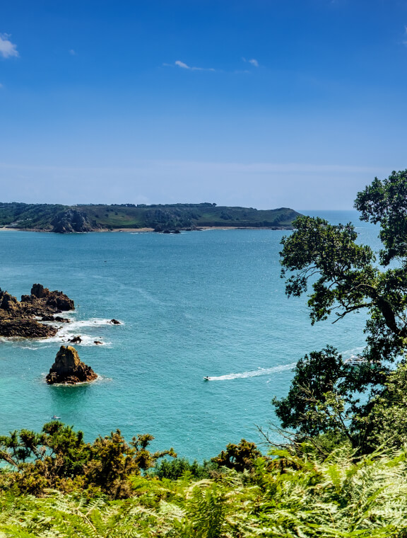 Coastline with sea and cliff face in foreground