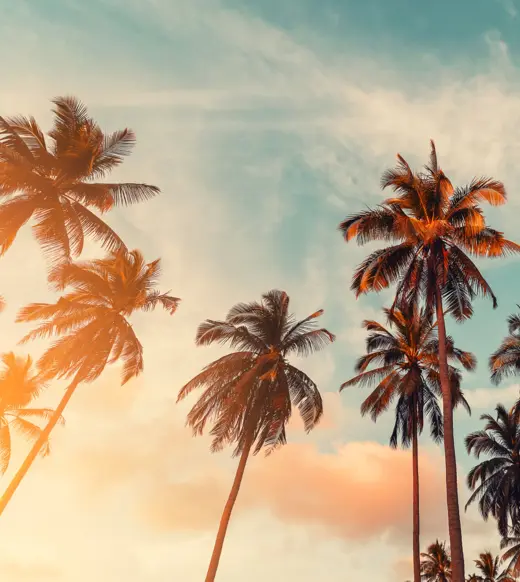 Closing the ESG data gap: A practical approach using collaboration, consistency, and intelligent automation