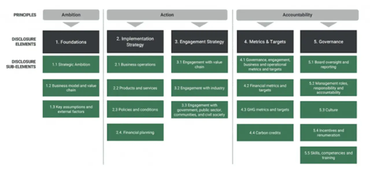 Blog: UK Taskforce's best-practice transition plan framework