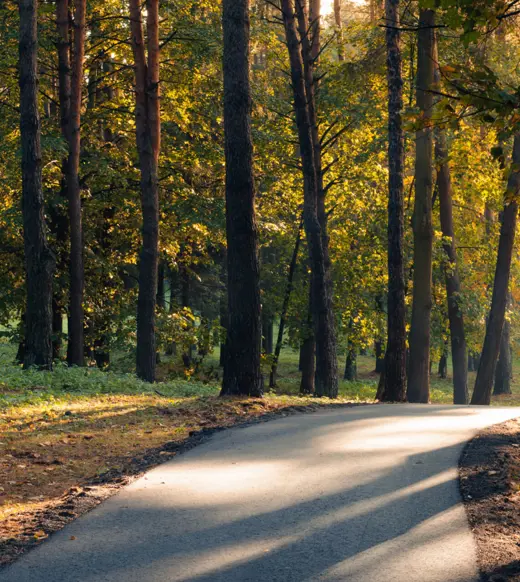 A 20-step plan to transform your middle office operations
