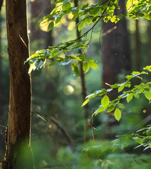 Beyond the numbers: uncovering the real story in your portfolio’s ESG data