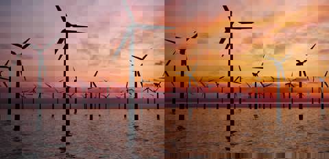 Climate & Carbon Solutions 1.5°